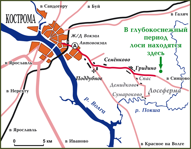 Схема проезда к зимней стоянке лосей